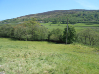 North Yorkshire camping farm